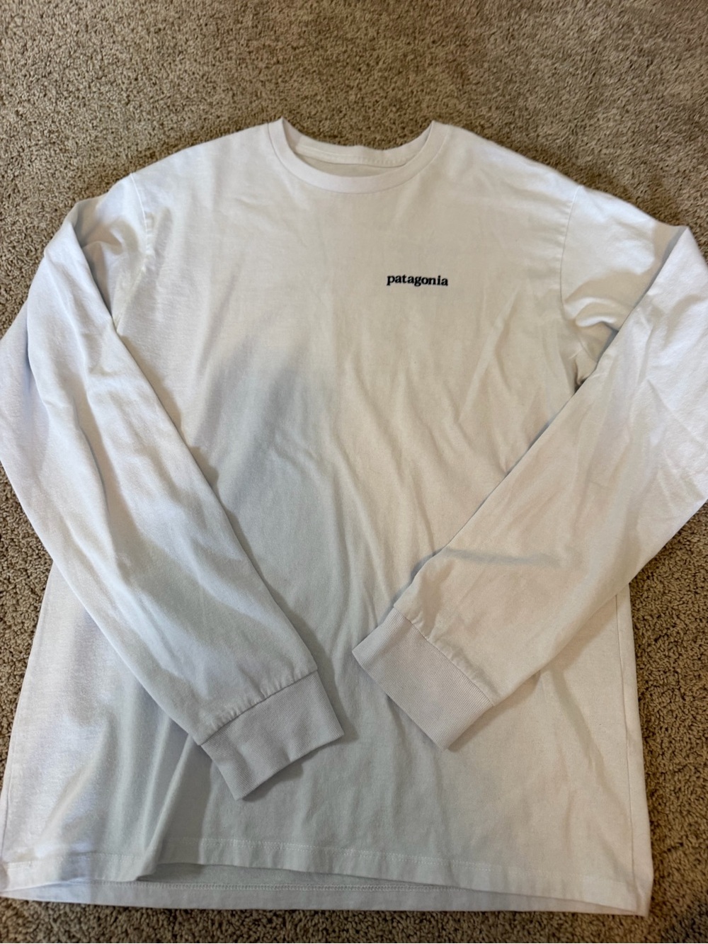 Patagonia Men’s Long-Sleeve Logo Tee - White - Picture 1 of 3